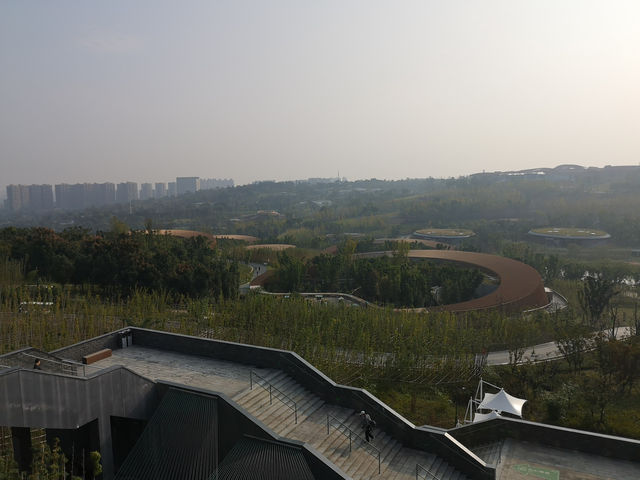 A Day with Pandas: Visiting the Chengdu Research Base of Giant Panda Breeding