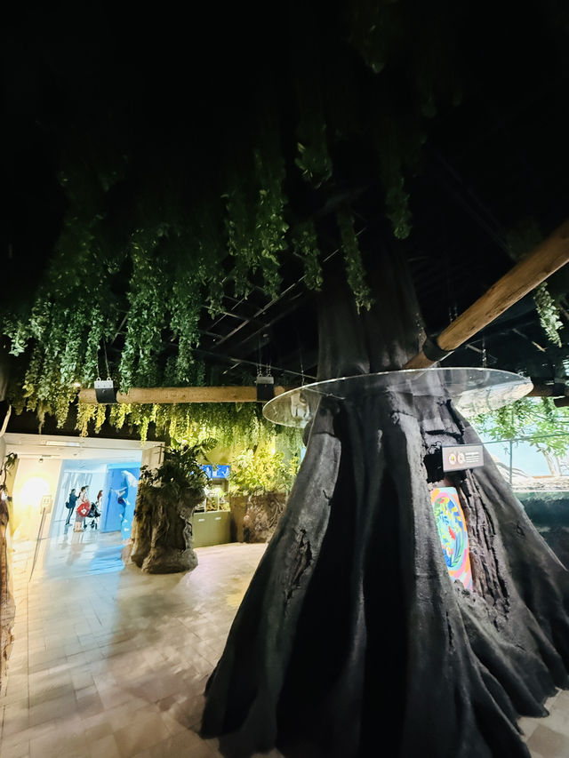 《桃園X park》珊瑚潛行：回到海的夢中。