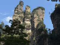 🍃 Zhangjiajie National Forest Park: A Breath of Fresh Air! ⛰️