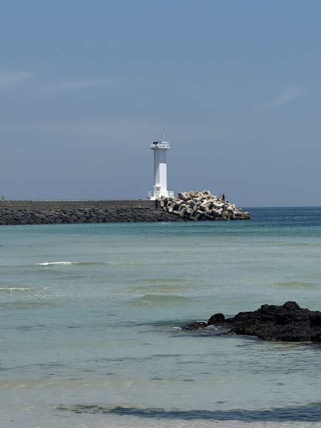 제주도 가족끼리 물놀이 즐기기 좋은 세화해변 제주도 가족끼리 물놀이 즐기기 좋은 세화해변