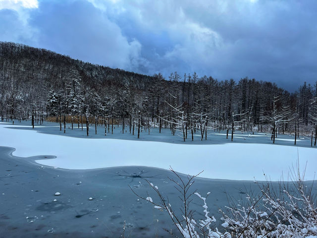 Hokkaido,Sapporo