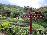 🌿 Yanoda — Hainan’s Tropical Rainforest Wonderland