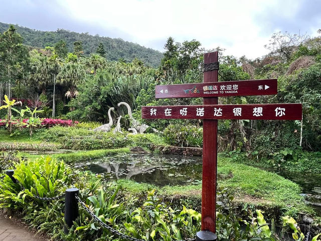 🌿 Yanoda — Hainan’s Tropical Rainforest Wonderland