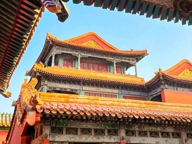 Walking Through History at the Forbidden City