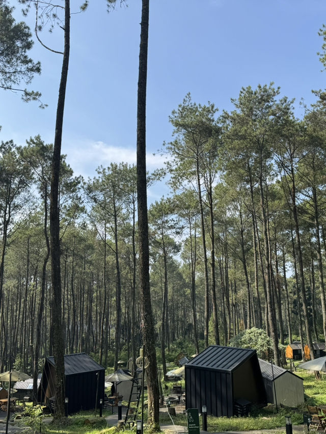 Bobocabin Cikole Experience 🔥