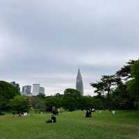 도쿄 여행 중 꼭 들러야 할 힐링 명소, 메이지 신궁