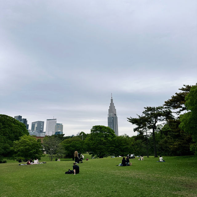 도쿄 여행 중 꼭 들러야 할 힐링 명소, 메이지 신궁