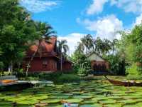 🌸 Ma Doo Bua Café: Lotus Dreams in Phuket