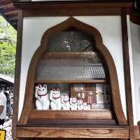 My Solo Pilgrimage to Tokyo's Lucky Cat Kingdom