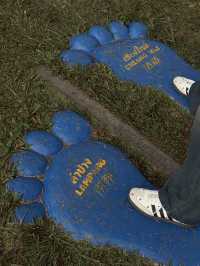 🌿✨ บ้านป่าเหมี้ยง หมู่บ้านเล็ก ๆ ท่ามกลางขุนเขา