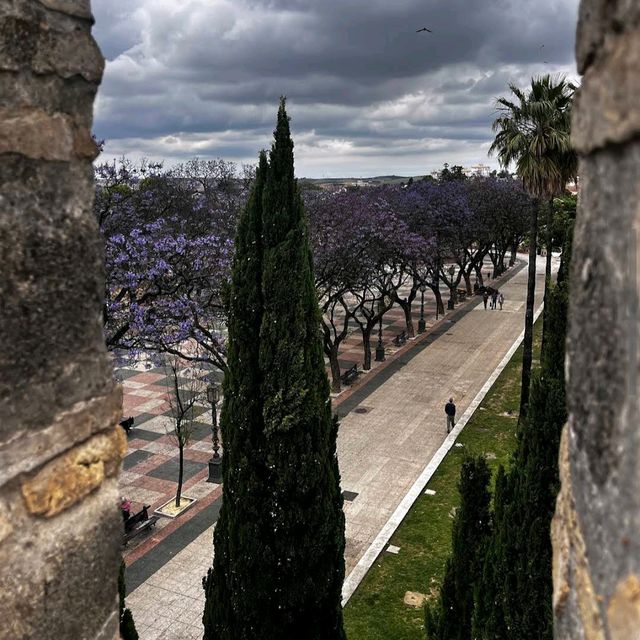 Jerez de la Frontera (Andalusia)