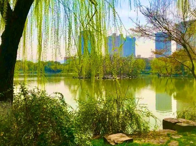 Xiuhu Park: The Heart of Yiwu’s City Life