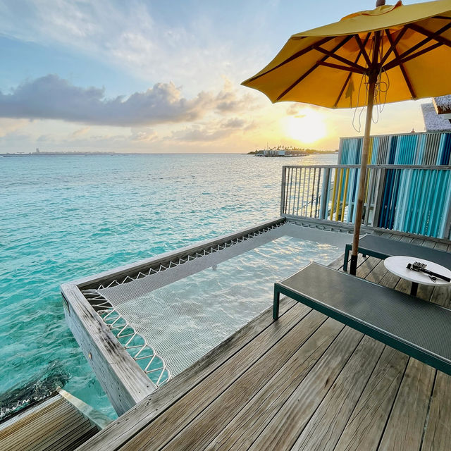 Amped Up in Paradise