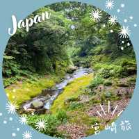 【宮崎】川と森林に抱かれる癒しの道 ― 天安河原への散策