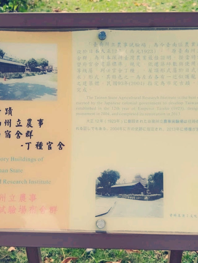 府東創意森林──城市中的綠意創意園地
