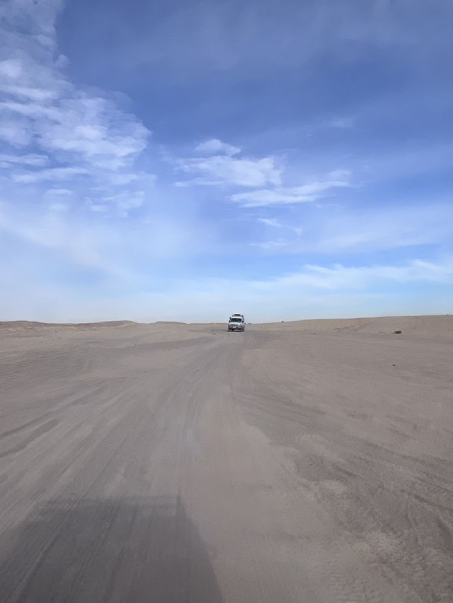 ［埃及旅遊］撒哈拉沙漠🏜️在一望無際的沙漠裡飆沙爬沙丘