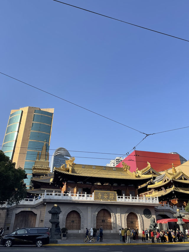 🌳 Anfu Road – Shanghai (安福路)