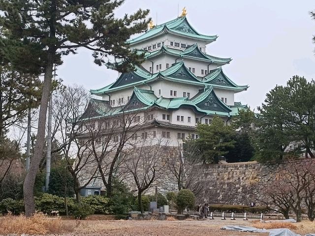 Nagoya Heritage Vibes🏯