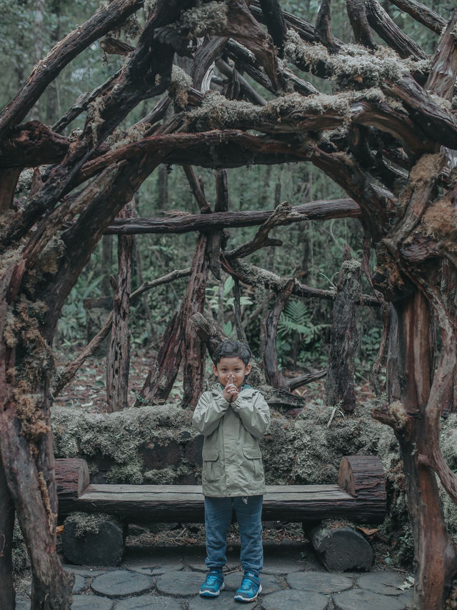Mount Kinabalu Botanical Garden – A Hidden Gem at the Foot of the Mountain