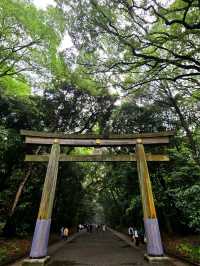 東京明治神宮🎏闖入鬧市中的靜謐，偶遇一場日式浪漫🎎