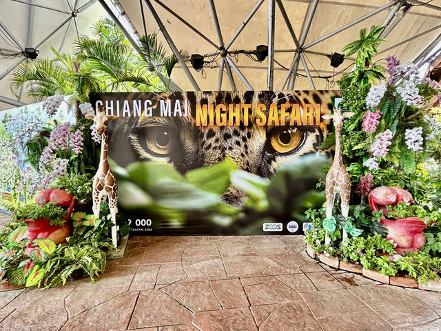 清邁夜間野生動物園親子遊  