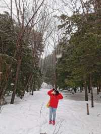 พาไปลุยหิมะที่ Hokkaido Jingu