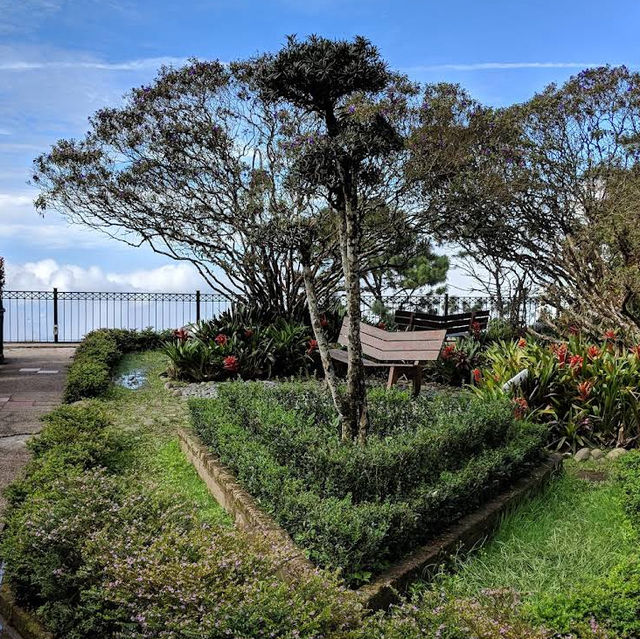 Talking Garden @ SkyAvenue Genting – Whispering Leaves & Interactive Green Spaces