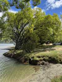 【ニュージーランド・クイーンズタウン】湖畔でのんびり「Frankton ビーチサイド散歩」🌿☀️