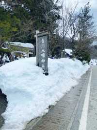 🌸 白川鄉合掌村・走進童話的村落 🌸