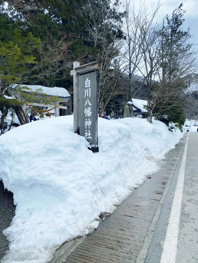 🌸 白川鄉合掌村・走進童話的村落 🌸