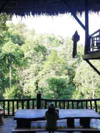 🌳 "บ้านต้นไม้" ที่พักและคาเฟ่สุดชิลล์ในเชียงดาว