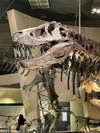 NATIONAL MUSEUM OF NATURE AND SCIENCE.