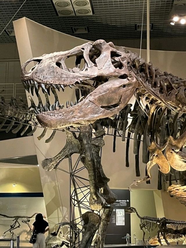 NATIONAL MUSEUM OF NATURE AND SCIENCE.