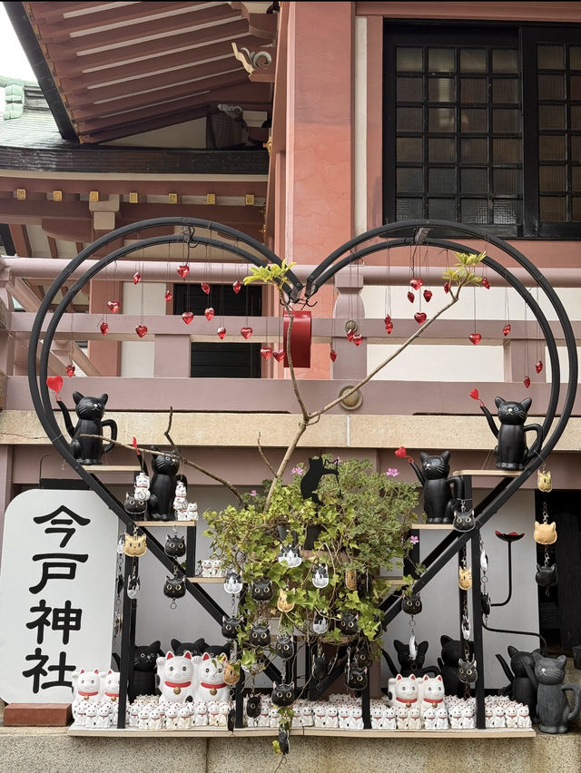 🇯🇵4日3夜東京⛩️小眾食玩打卡路線🤪📷