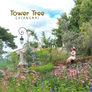 🏡🌱 Tower Tree บ้านสีขาวอบอุ่นท่ามกลางหุบเขา