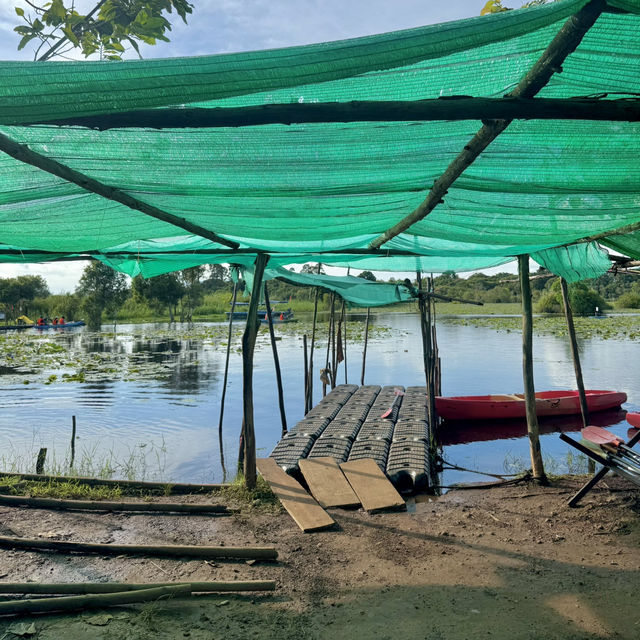 สวนพฤกษศาสตร์ระยอง 🏞️