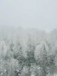 在雪與光之間——冬日土耳其的奇幻