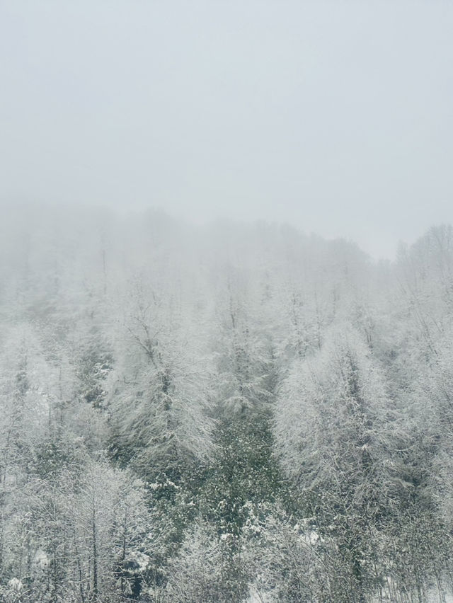 在雪與光之間——冬日土耳其的奇幻 在雪與光之間——冬日土耳其的奇幻