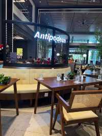 Kiwi Cafe Culture with Global Reach at Antipodean