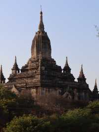 Shwe-gyu-gyi