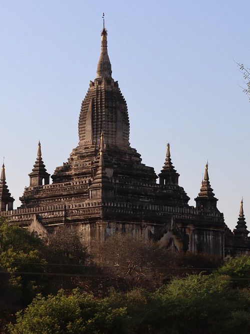 Shwe-gyu-gyi