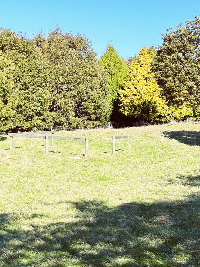 🌿 Centennial Park, New Zealand: Where Heritage Meets Untamed Beauty! 🍃
