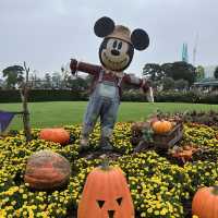 【東京都】ディズニーハロウィーンパレード攻略法