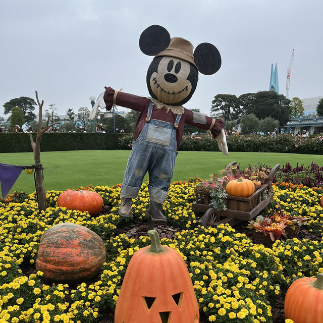 【東京都】ディズニーハロウィーンパレード攻略法