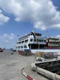 ดำน้ำเกาะเต่า ใต้ทะเลที่ปะการังสวยที่สุด ⚓️🛟