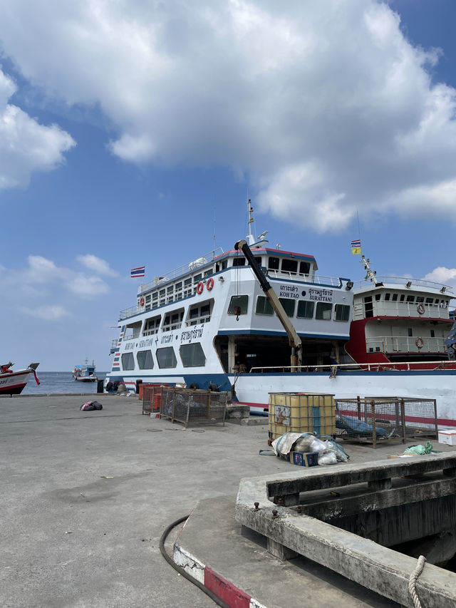ดำน้ำเกาะเต่า ใต้ทะเลที่ปะการังสวยที่สุด ⚓️🛟