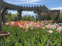 Denver Botanic Gardens
