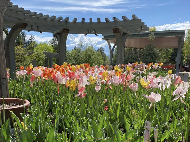 Denver Botanic Gardens