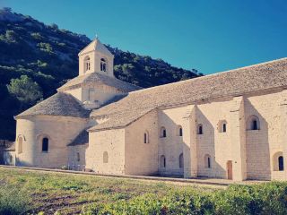 Solo in a Sea of Lavender: The Abbey of Sénanque
