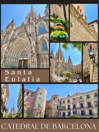 バルセロナの美しいカテドラル🇪🇸スペイン旅